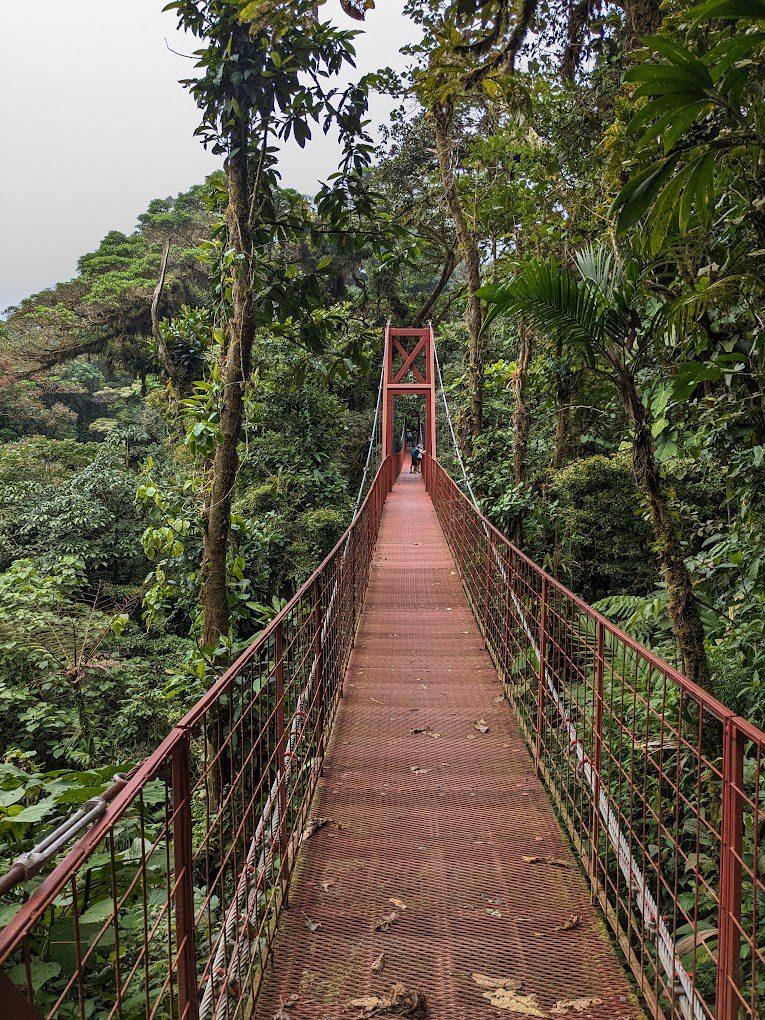 Monteverde Cloud Forest Biological Reserve