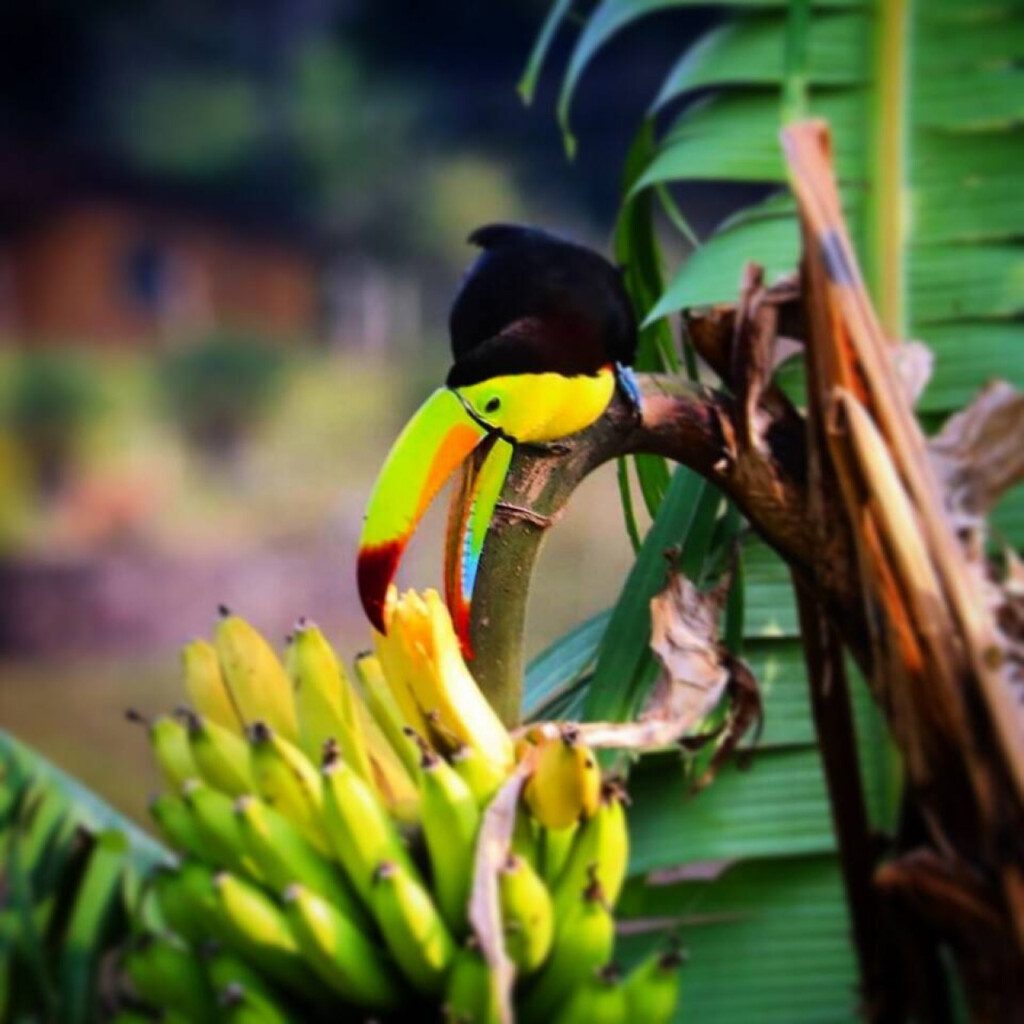 87308 433161 gb4DIgAFP8DNKvpx0Jn5yX5SRHSepikSFHU6oAbUwA 68c846a53e435.jpg