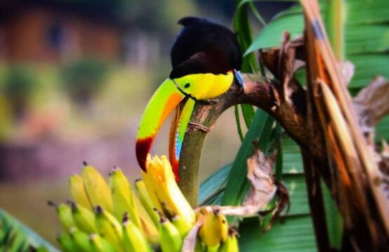 87308 433161 gb4DIgAFP8DNKvpx0Jn5yX5SRHSepikSFHU6oAbUwA 68c846a53e435.jpg