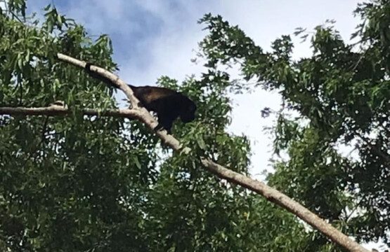 87308 433161 8ohHO1C5gGjkdpePneMEFMwvd0A8ObRXBq3XKealKyk 68c846acb845c.jpg