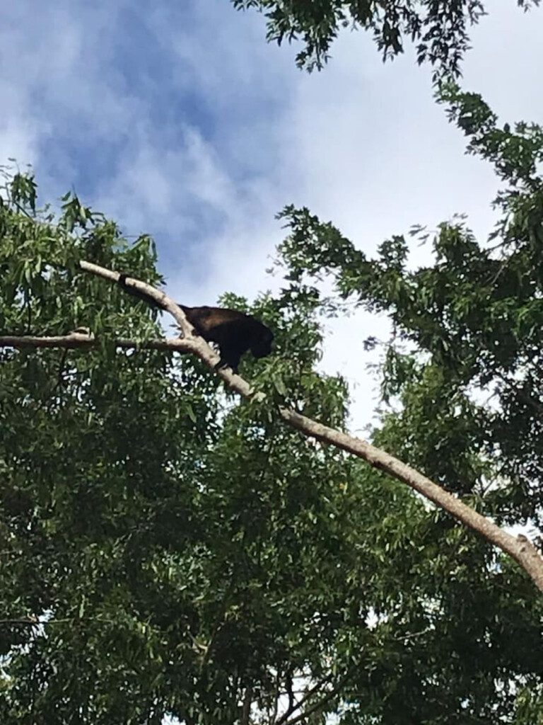 87308 433161 8ohHO1C5gGjkdpePneMEFMwvd0A8ObRXBq3XKealKyk 68c846acb845c.jpg