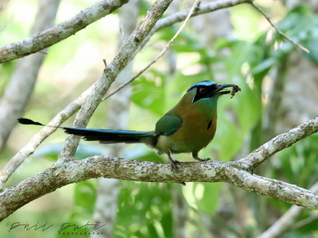 87308 433161 h2Aq7DlSl5a4EMAOUaP39kgs4wFxk nunWgIu2lqX5s 68c846a6afab3.jpg