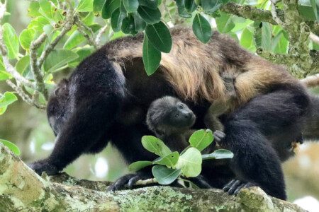 87308 433161 v5SkB17RyrkamNtY9zAct7 rYq5P4jiA4cR6OdwgCNw 68c846a09d743.jpg