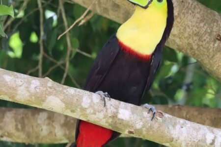 87308 433162 0nL2QD4FLdg1Sqc8NJBz Kr3ub5aInic3L2fbvFJh4A 68c8465b4659d.jpg