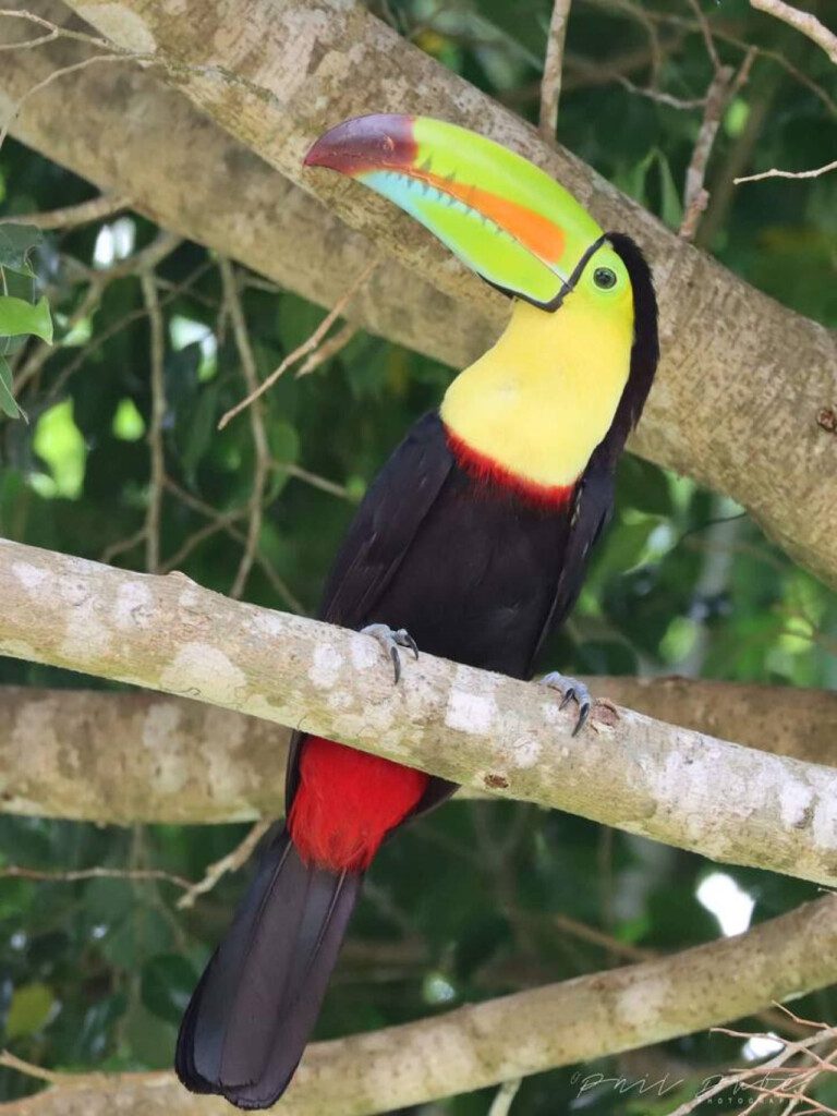 87308 433162 0nL2QD4FLdg1Sqc8NJBz Kr3ub5aInic3L2fbvFJh4A 68c8465b4659d.jpg