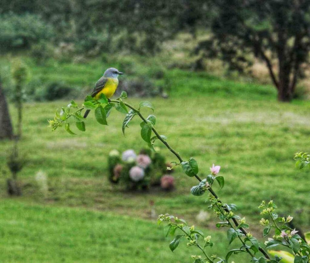 87308 433162 6ZRTJPfzRWH3Mb jpyha1iYuEHnKLCExUAL6RPyIDxQ 68c865490e266.jpg