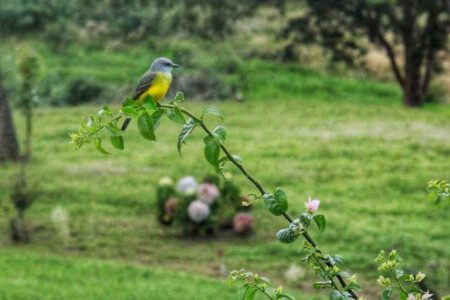 87308 433162 6ZRTJPfzRWH3Mb jpyha1iYuEHnKLCExUAL6RPyIDxQ 68c865490e266.jpg