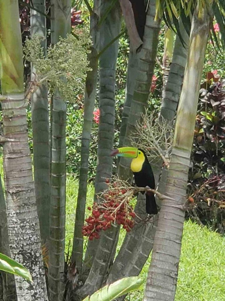 87308 433162 LWffyiD9RchXMv2QN1KfXCQCLHsaJrHKn9DuMxfdABw 68c84649bb1fa.jpg