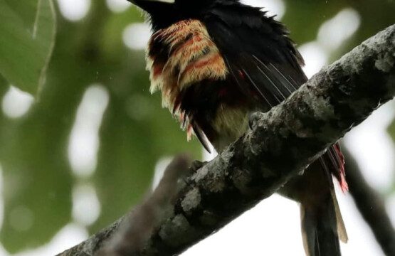 87308 433162 NSLrHqoIUbazBYr Dg PfQtVP6c50YSVkwTmQIy2SpA 68c84644416d7.jpg