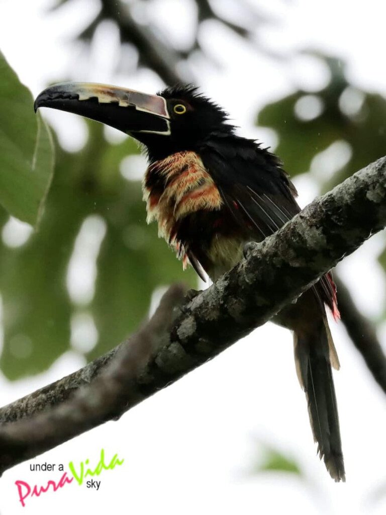 87308 433162 NSLrHqoIUbazBYr Dg PfQtVP6c50YSVkwTmQIy2SpA 68c84644416d7.jpg