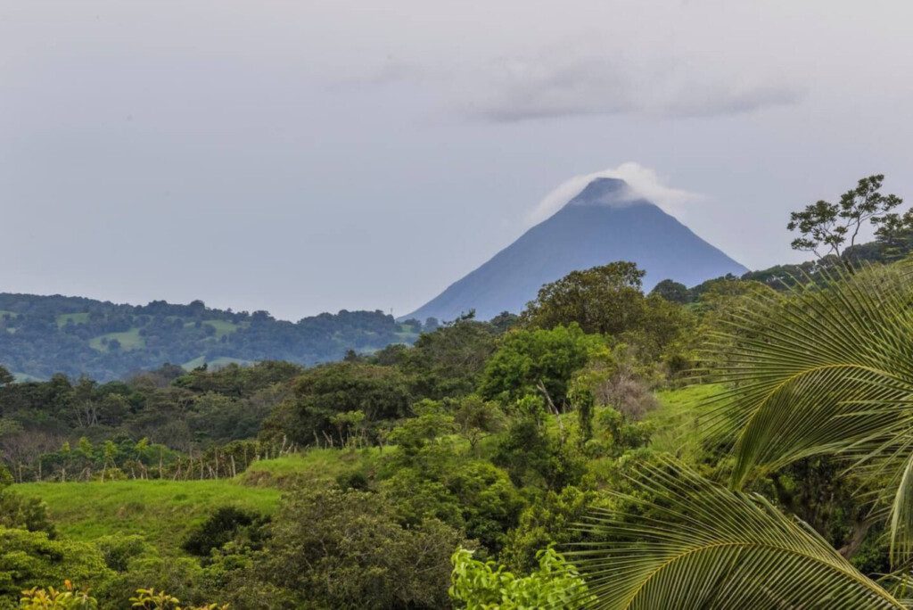 87308 433162 mNCaL4T4D380yhxG 4rAhpkmsJv6j7YI MDeVbFTEno 68c884cc4ceb3.jpg