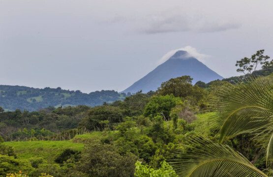 87308 433162 mNCaL4T4D380yhxG 4rAhpkmsJv6j7YI MDeVbFTEno 68c884cc4ceb3.jpg