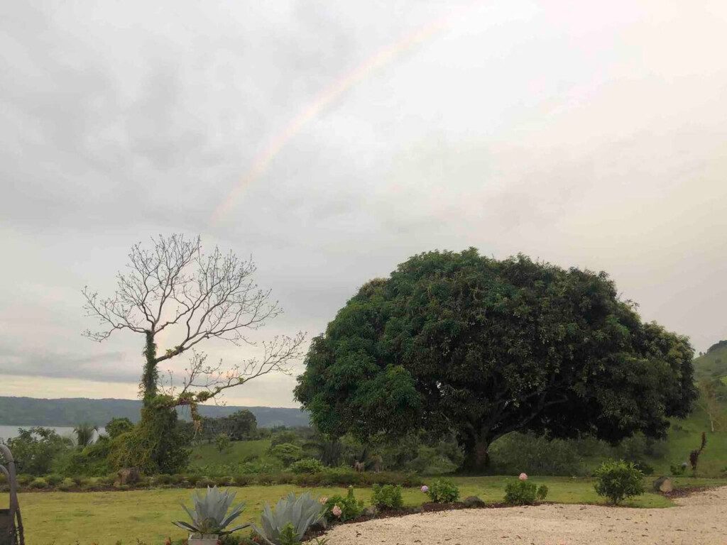 87308 433162 uoQn01jsYN2PYnZHbVeU74iQuFhaldIzkZ56KwxD1eE 68c8464b9e550.jpg