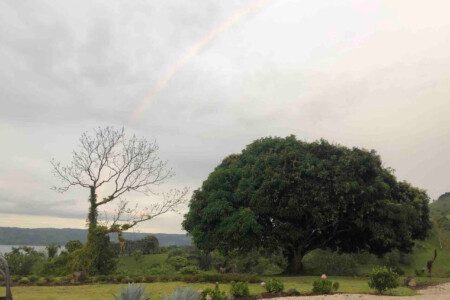 87308 433162 uoQn01jsYN2PYnZHbVeU74iQuFhaldIzkZ56KwxD1eE 68c8464b9e550.jpg