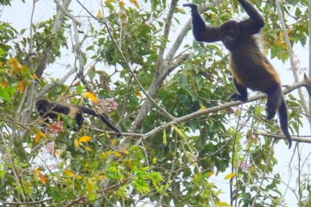 87308 433163 PRC0J4s kk 1i9M5287vKnJXy23 7QkXTAC8UWJ70C8 68c8462c26db0.jpg