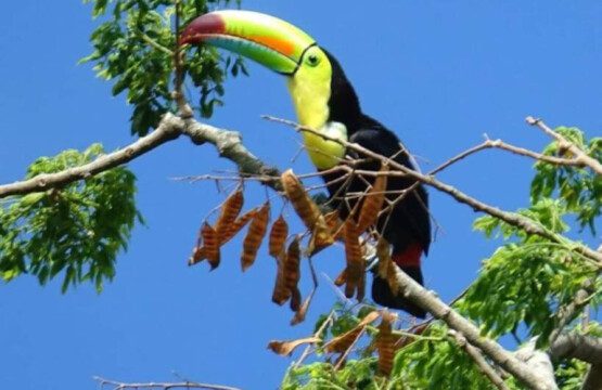 87308 433163 dcvlEVasv8TPMFqE2jn33T6rprkstUsTxHxLs1tQcgo 68c84635d9280.jpg