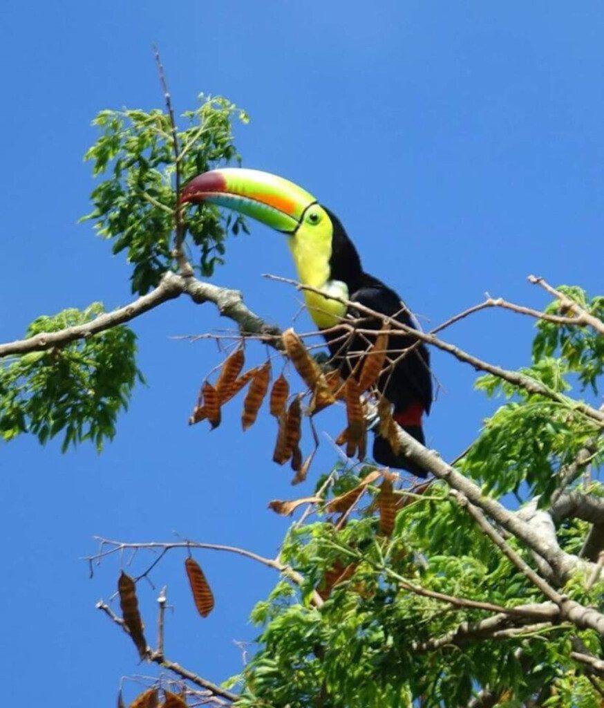 87308 433163 dcvlEVasv8TPMFqE2jn33T6rprkstUsTxHxLs1tQcgo 68c84635d9280.jpg