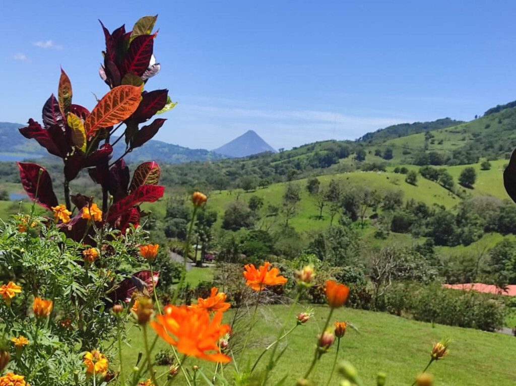 87308 433165 MAZSQ12uFHzp8GQYZk3 GzuqnRD LUjnx2g93vncqyk 68c845d86edda.jpg