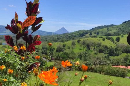 87308 433165 MAZSQ12uFHzp8GQYZk3 GzuqnRD LUjnx2g93vncqyk 68c845d86edda.jpg