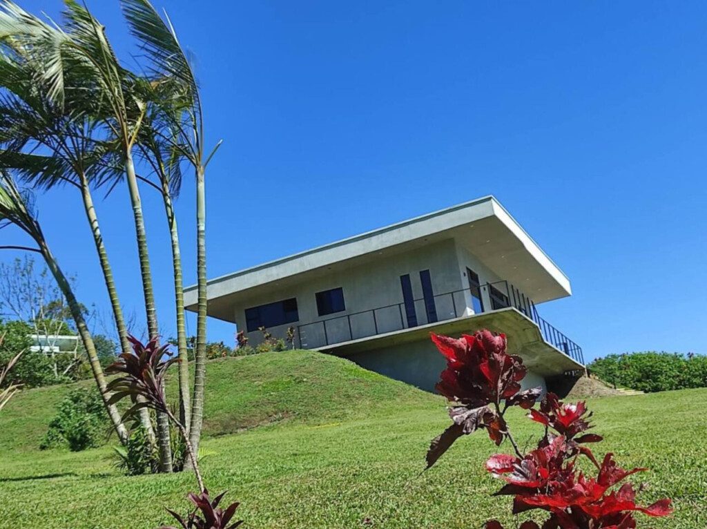 87308 433165 tNMmUF2Y4PUH5hTj8XR5kdvUbGo1BevjRH6e3Umli3w 68c845db371c7.jpg