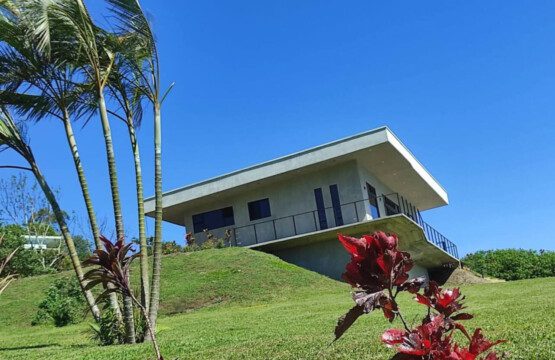 87308 433165 tNMmUF2Y4PUH5hTj8XR5kdvUbGo1BevjRH6e3Umli3w 68c845db371c7.jpg