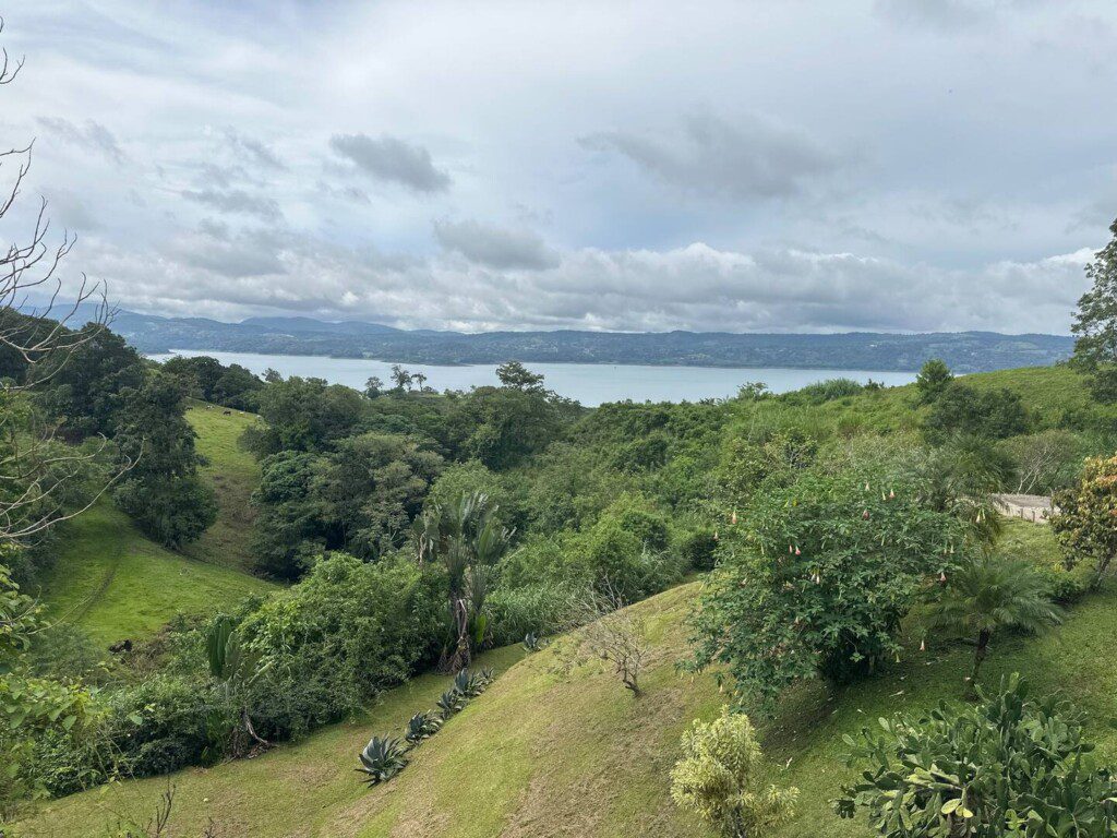 259ea8b8 9420 4366 a150 be53e856286b