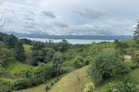 259ea8b8 9420 4366 a150 be53e856286b