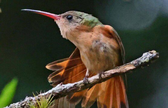 428be4f1 447c 469d b8ac 145dd0669a29