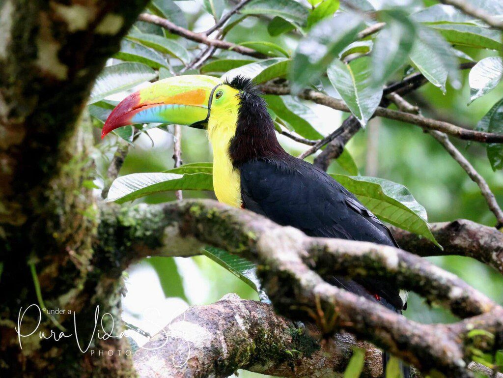 536d569f c507 43a4 8366 9b1d1c1833bf