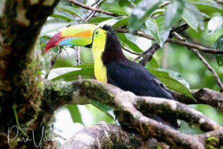 536d569f c507 43a4 8366 9b1d1c1833bf