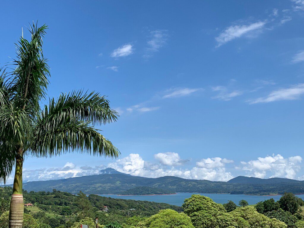 5546da33 4663 409a b3f5 07412e751854