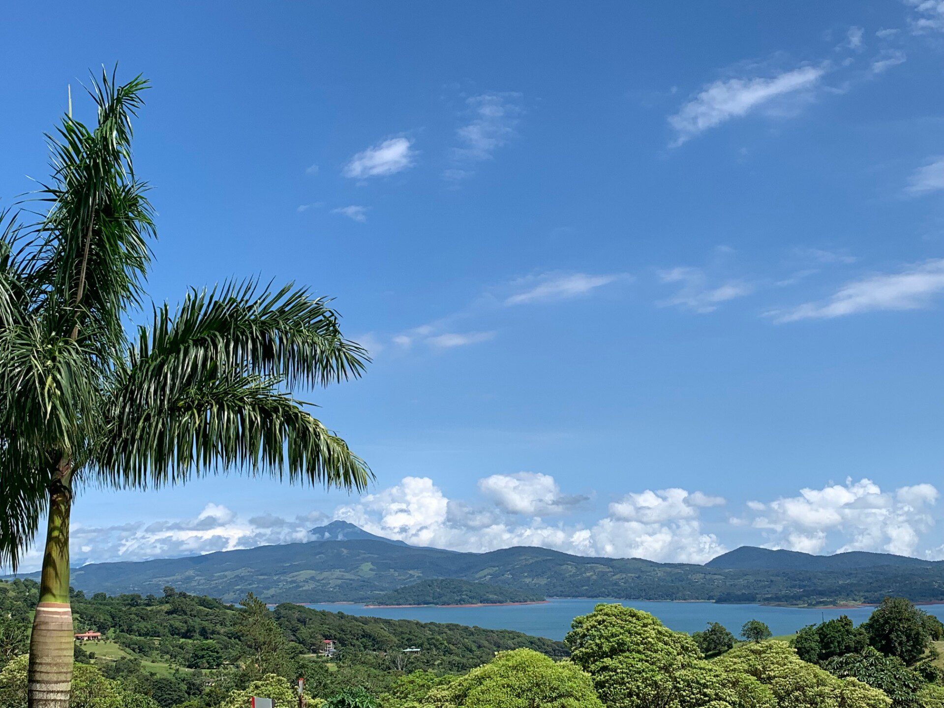 5546da33 4663 409a b3f5 07412e751854