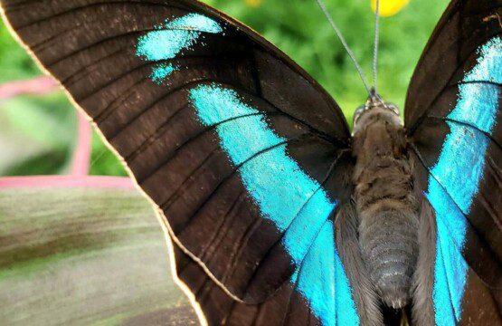 58b29c2a f05f 4ae5 bf26 ee5497b74be5