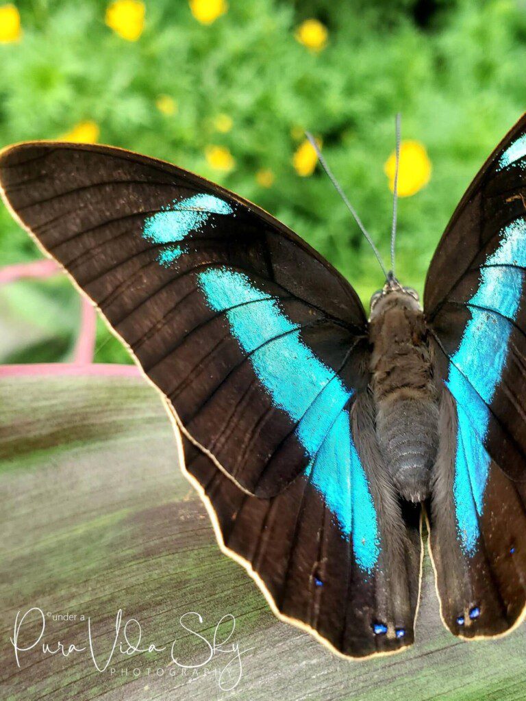 58b29c2a f05f 4ae5 bf26 ee5497b74be5