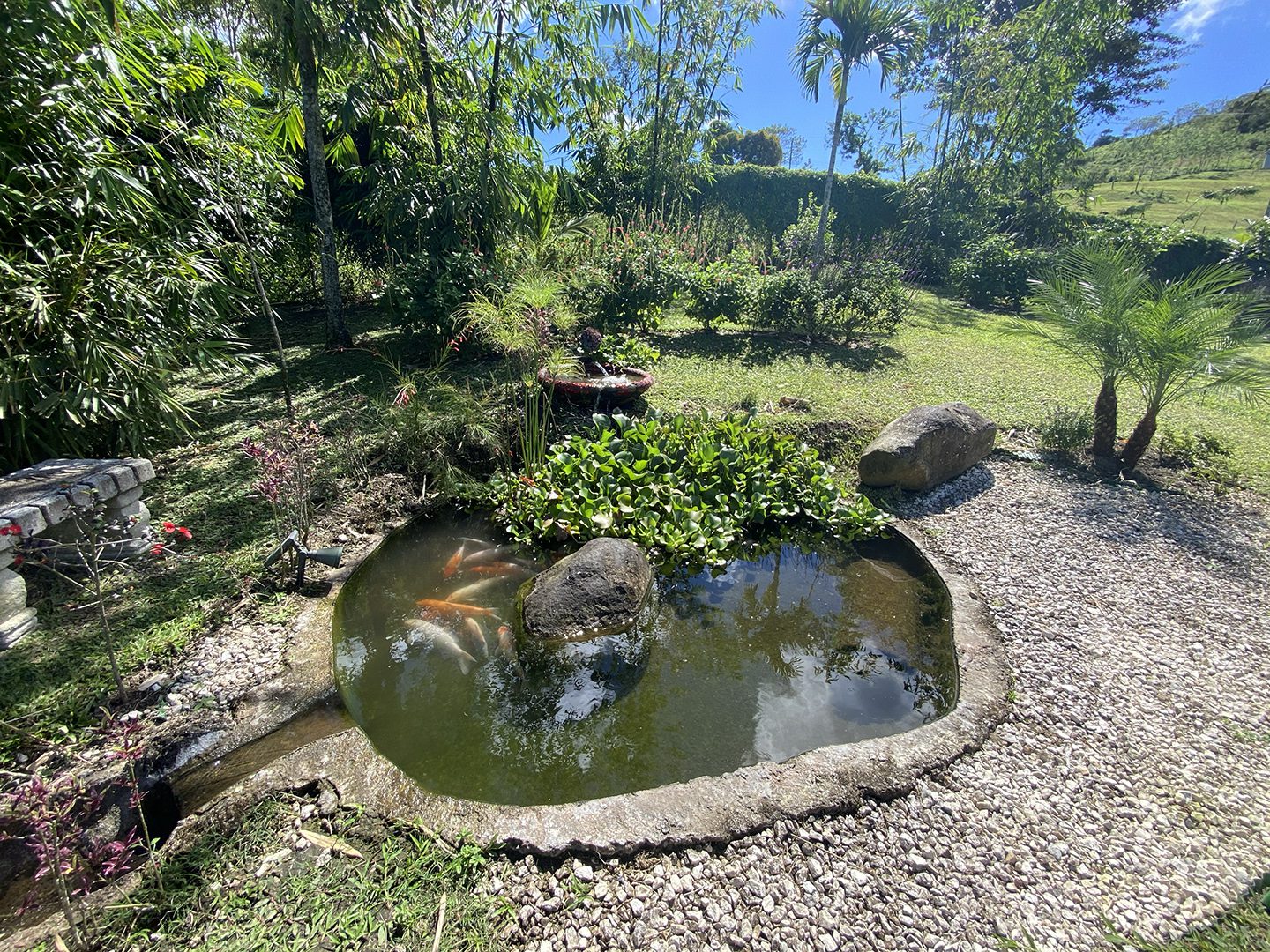 6bce67e4 e558 4d81 97da 6e1ac2edcbd9