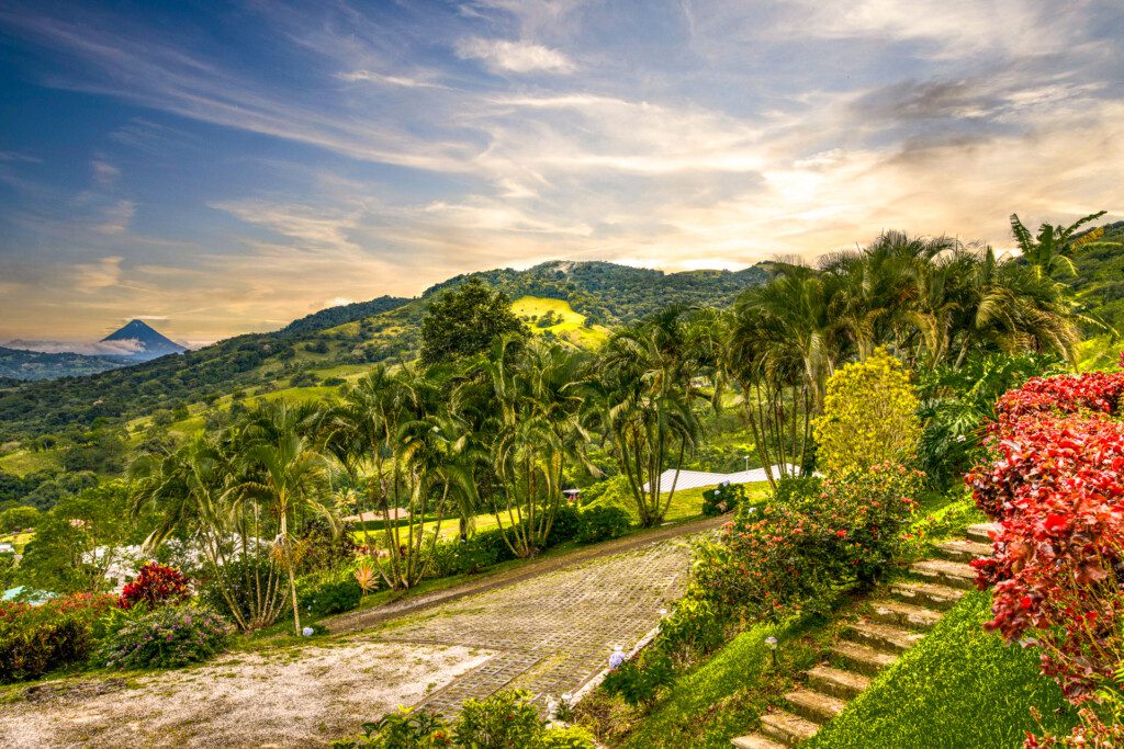 7dec562e c755 4013 a2da c6bd576a777f