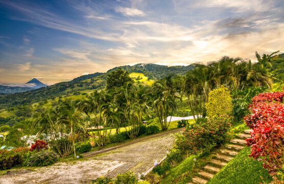 7dec562e c755 4013 a2da c6bd576a777f