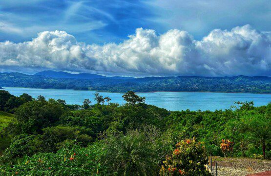 85f354bb e130 49bf a428 cba8921840b1