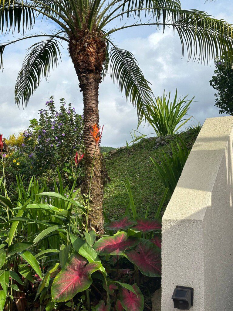 94eb6fcf b889 46a7 bd4f 457a98b01caf