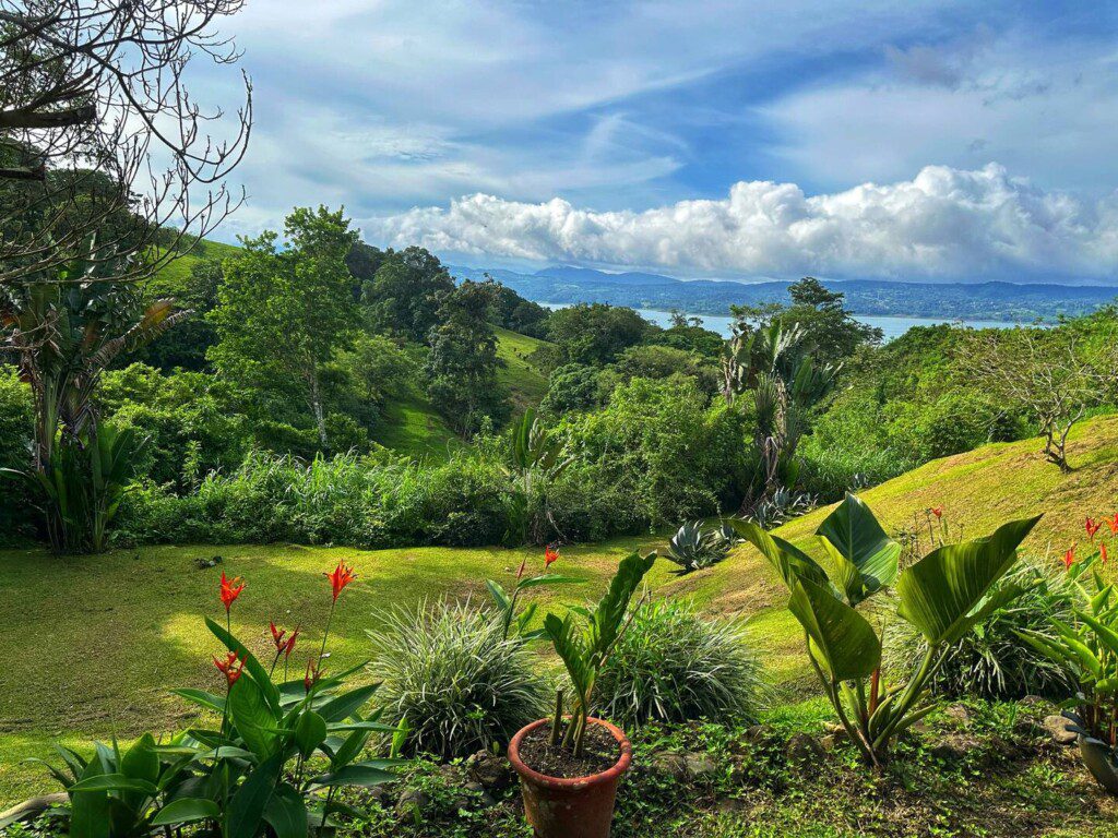 a91a5ddf b9e1 484f b3a5 95439fcd62a2