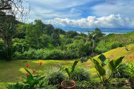 a91a5ddf b9e1 484f b3a5 95439fcd62a2