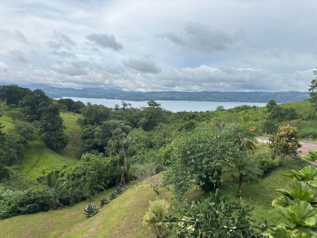 a9b6de1b 3e20 46c7 9a94 6d55a37bc423