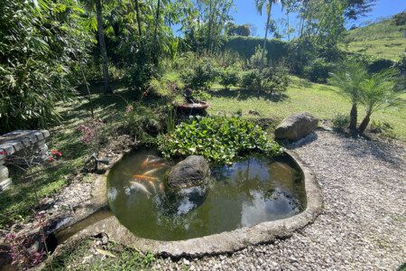 b21d6309 b3bf 498e 8ab8 ac3a12c481d2