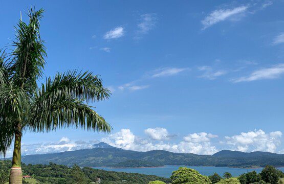 b738ba24 eade 494a 93ce df541a9d9d1c