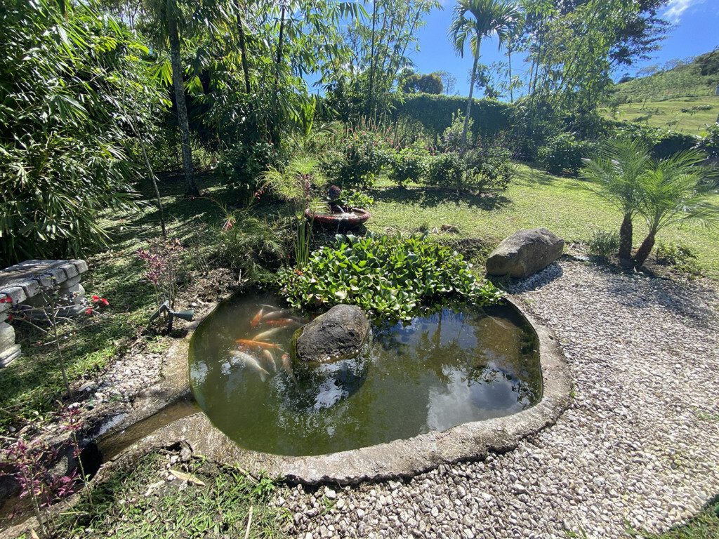 bfa1e6f8 1906 4916 bb8d 629a5865fcee