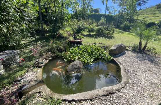 bfa1e6f8 1906 4916 bb8d 629a5865fcee