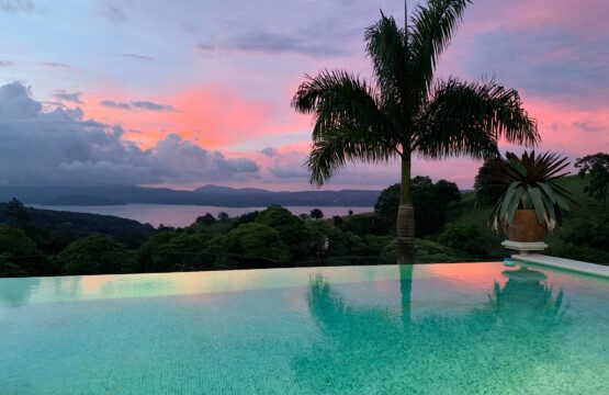 c89aa8f5 41af 441e 8c3a 31fa39296ee3