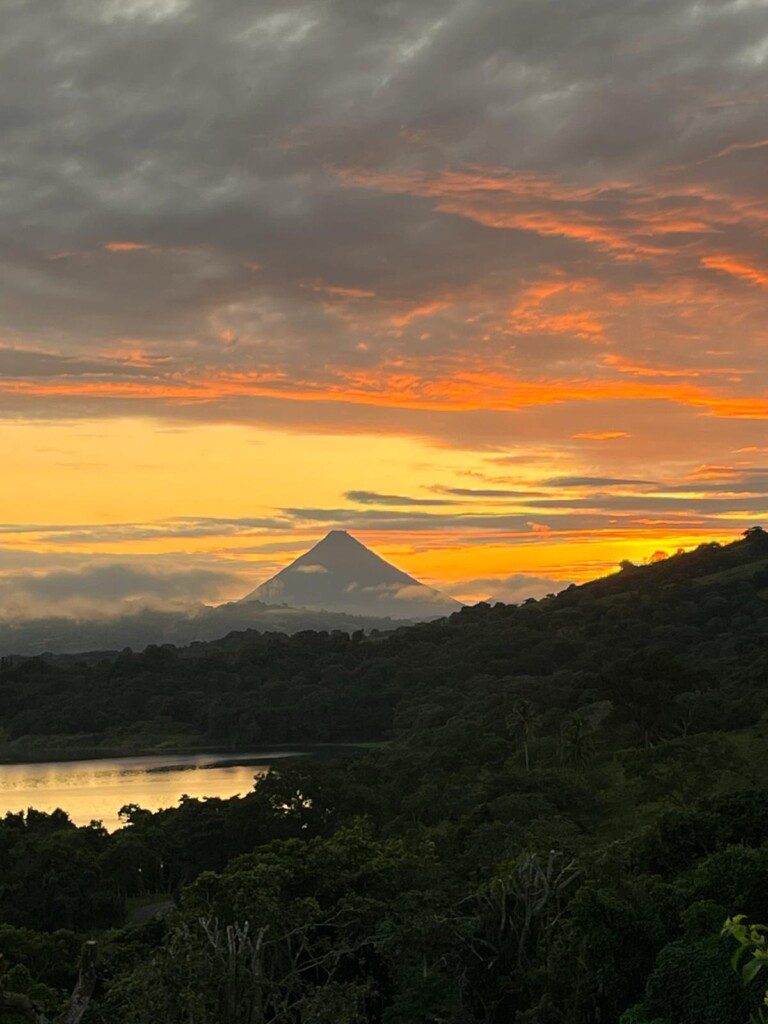 c94a65d0 3cc2 44b3 9332 83fbc8b355bf