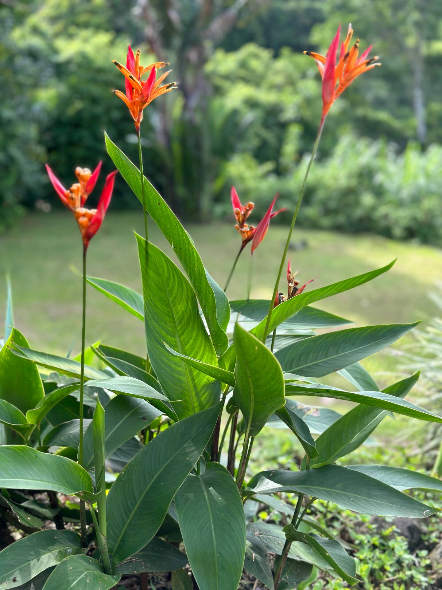 ec0f1221 c27f 42ae 8688 26d3419b38bf