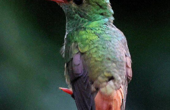 f7a8c735 6038 4b4d 9192 50ecaccfd322